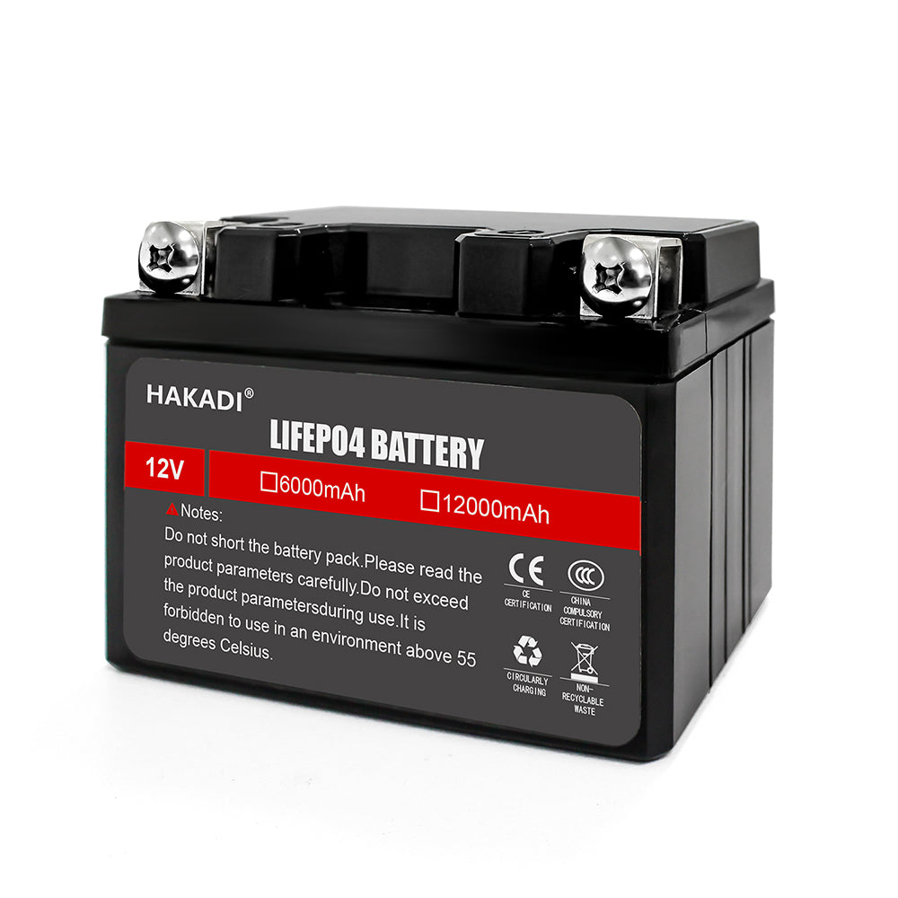 Selian 12V 6Ah LiFePO4 Lithium Rechargeable Battery Pack Built in BMS for Power Electrical Solar System Home Energy Storage