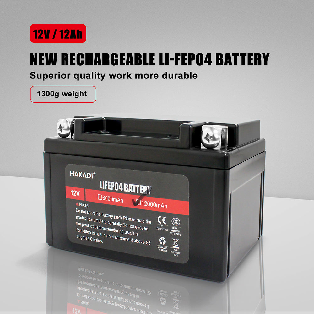 Selian 12V 12Ah LiFePO4 Lithium Rechargeable Battery Pack Built in BMS for Power Electrical Solar System Home Energy Storage