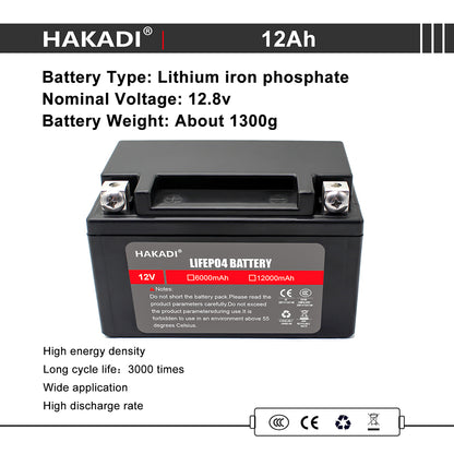 Selian 12V 12Ah LiFePO4 Lithium Rechargeable Battery Pack Built in BMS for Power Electrical Solar System Home Energy Storage